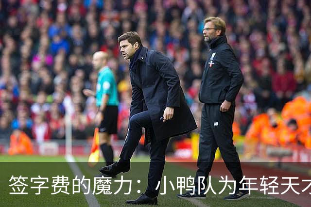 签字费的魔力：小鸭队为年轻天才定制一份大合同